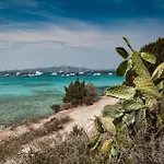 Franca 100m From The - Happy